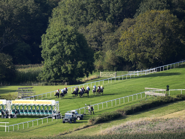 It's the second day of Glorious Goodwood, featuring the Sussex Stakes
